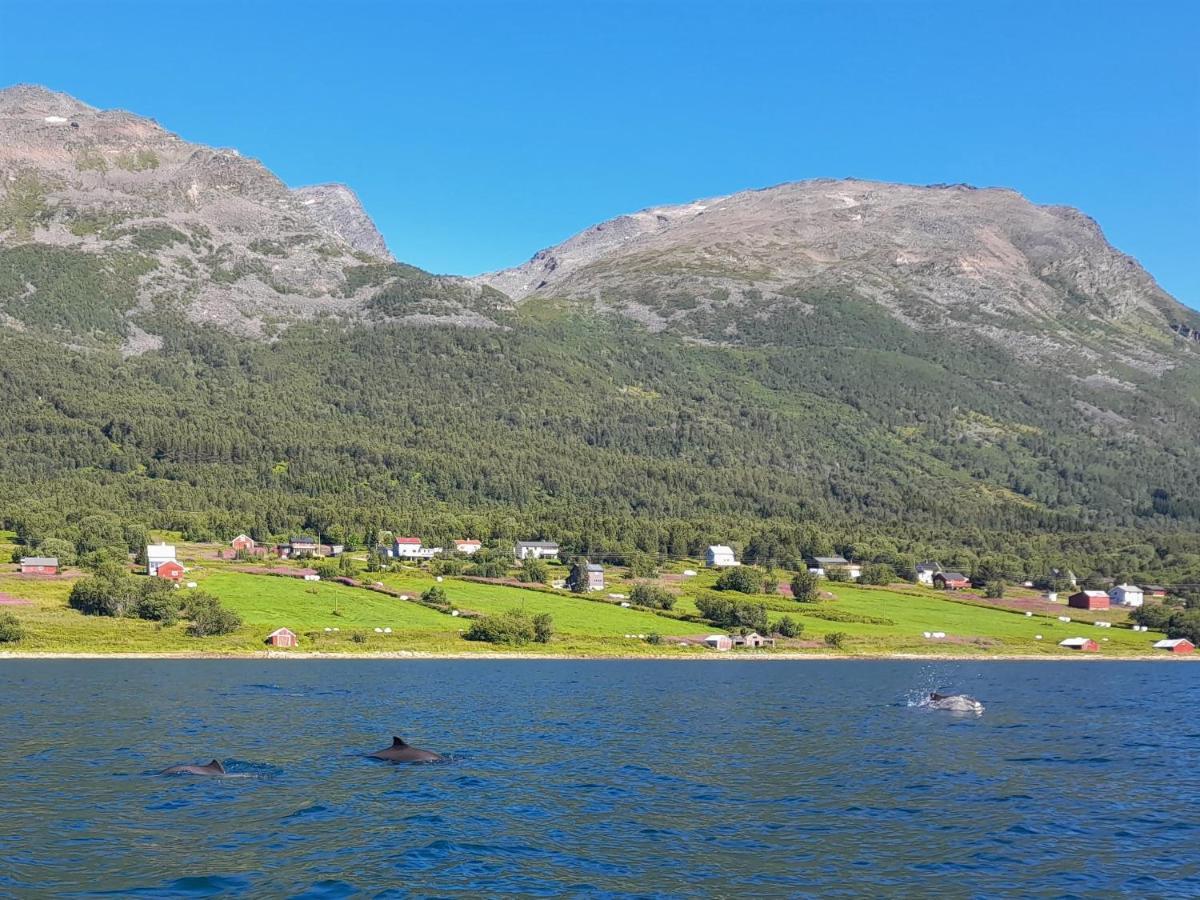 Olderdalen Ski Camp Екстериор снимка