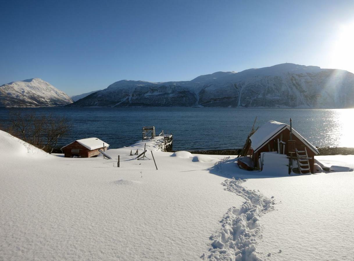 Olderdalen Ski Camp Екстериор снимка